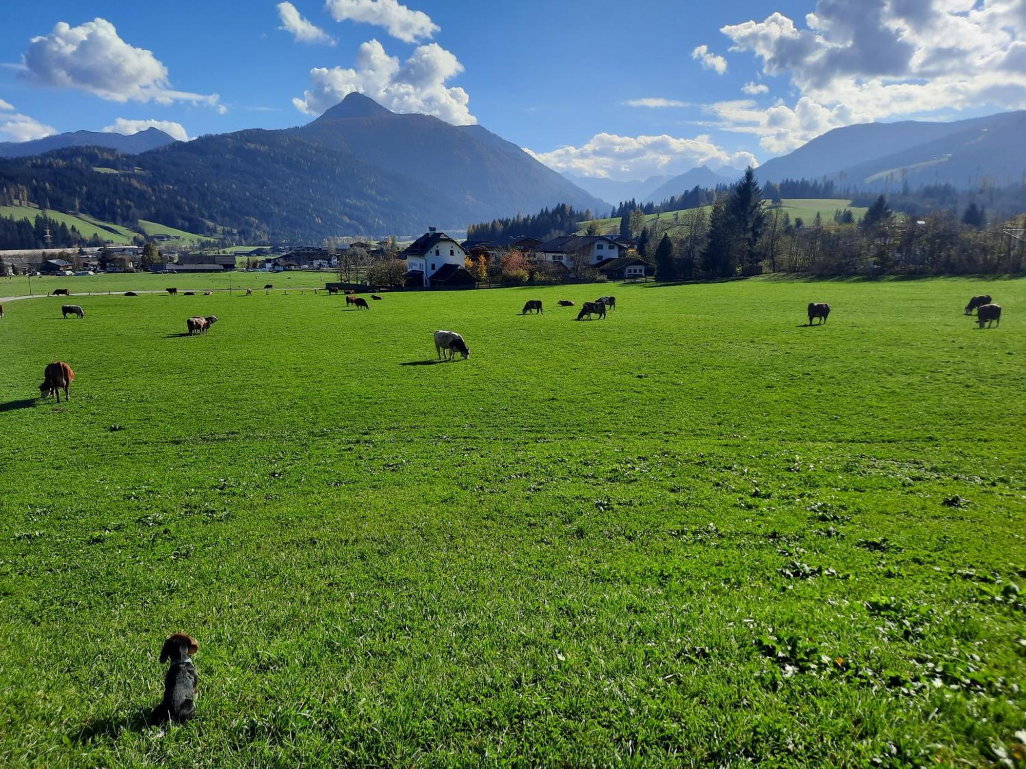 Landhotel Hinteraigengut Flachau Kültér fotó