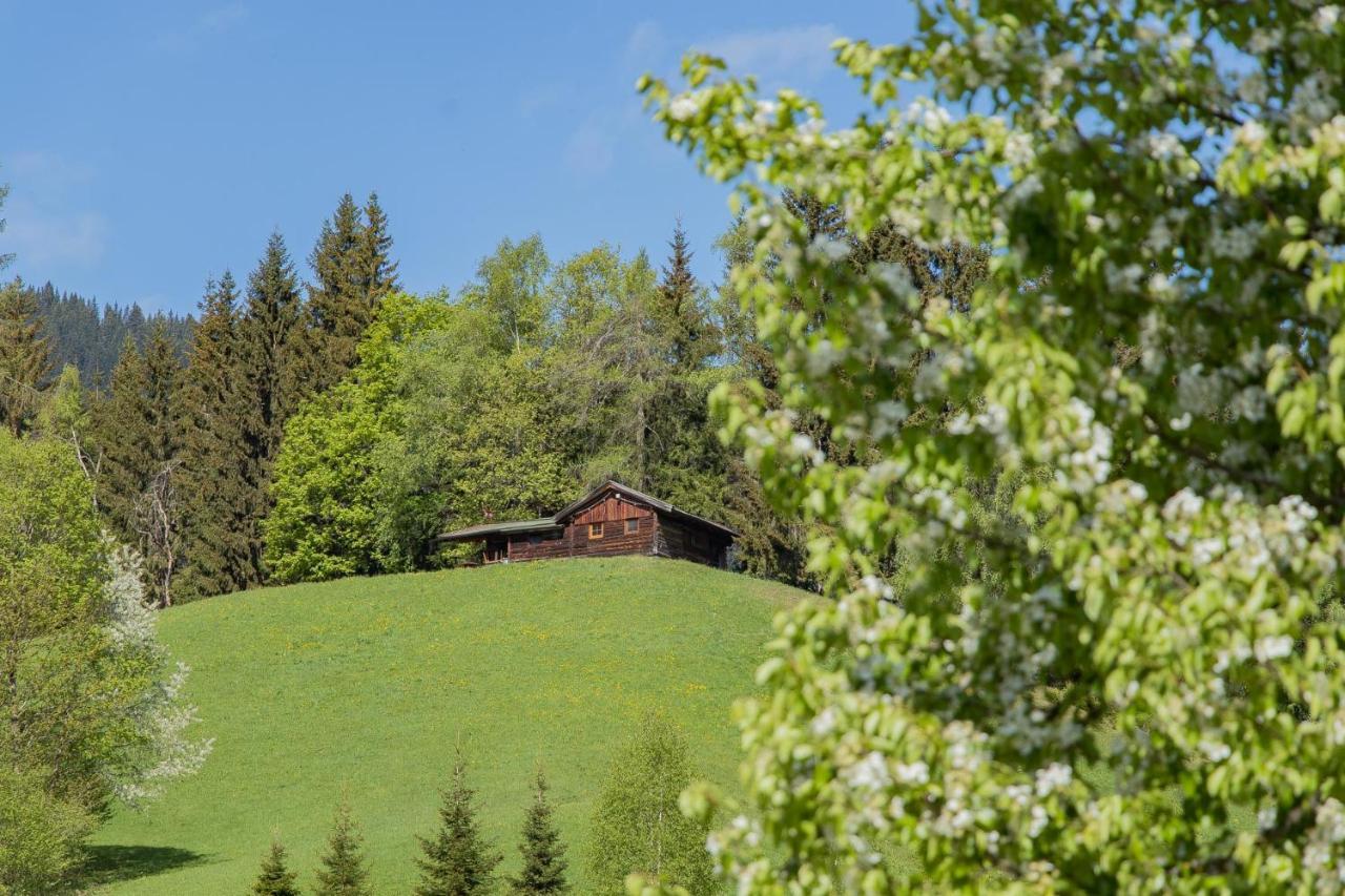 Landhotel Hinteraigengut Flachau Kültér fotó